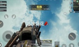 吃鸡爆料烟花视频下载,下载攻略与精彩瞬间回顾